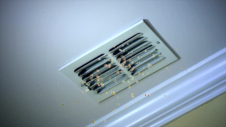 Best Professional Duct Cleaning Services  in Ormond Beach, FL